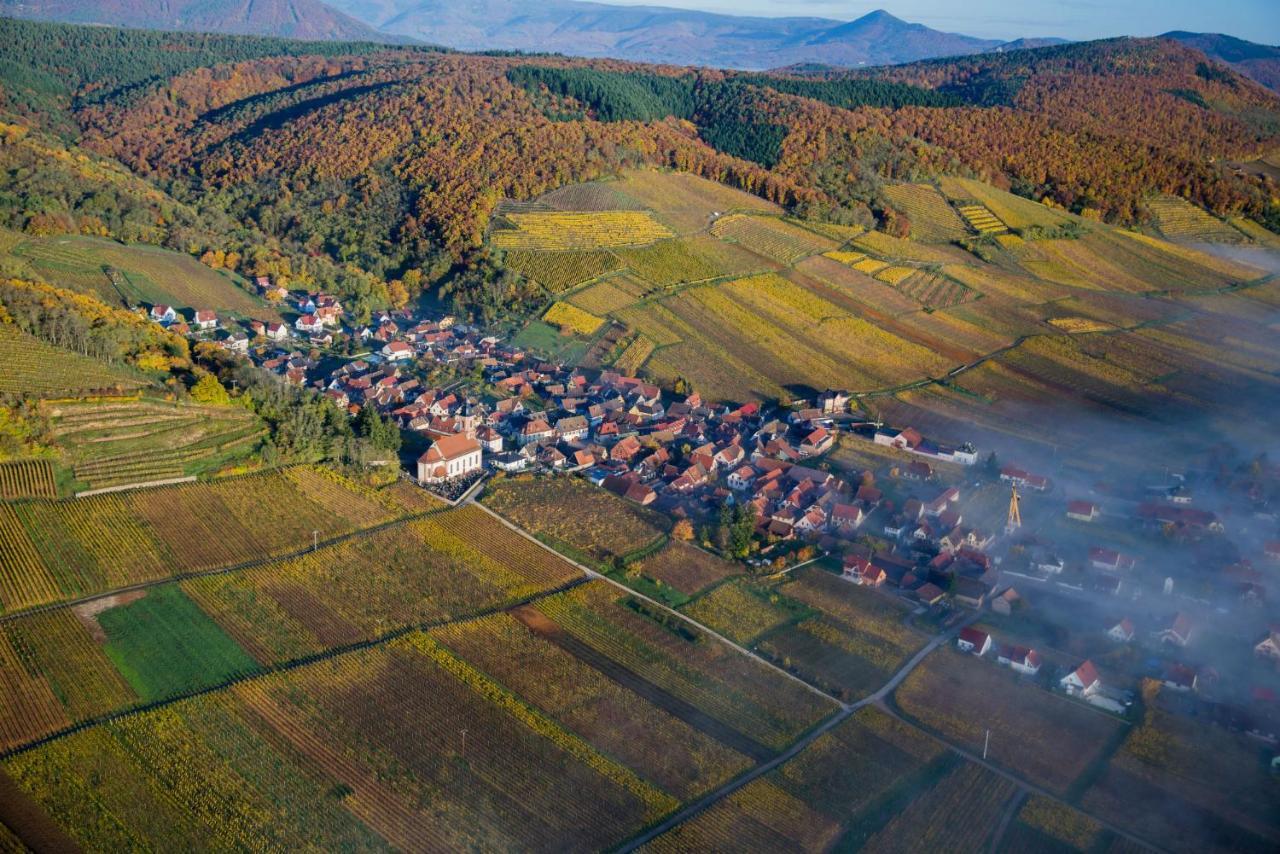 Maison De Ville Selestat Centre Kültér fotó